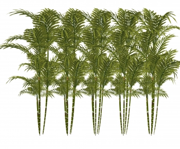 Modern Bamboo-ID:177668098