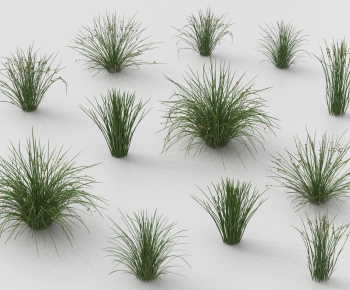 Modern The Grass-ID:222347973