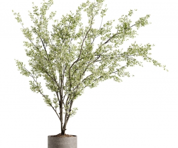 Modern Ground Green Plant Potted Plants-ID:810226922