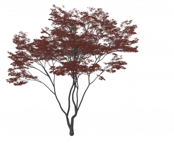 Modern Tree-ID:454148051