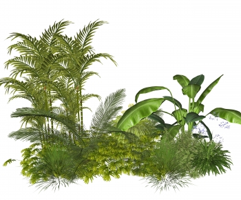 Modern Plant Pile-ID:968009001