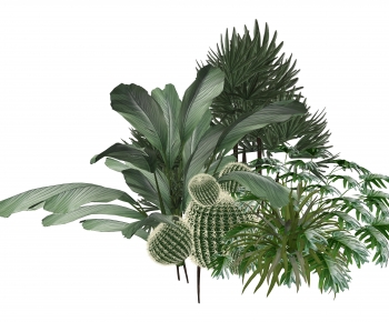Modern Plant Pile-ID:560925013