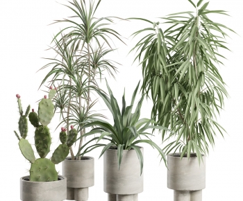 Modern Ground Green Plant Potted Plants-ID:183331017
