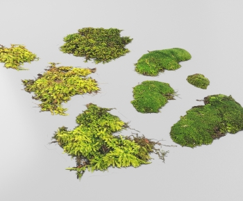 Modern The Grass-ID:102651154