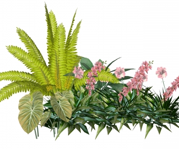 Modern Plant Pile-ID:692734006