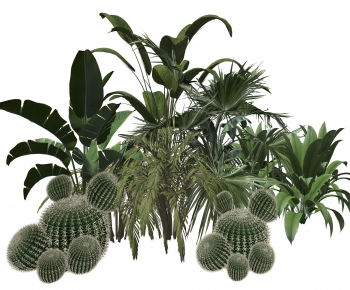 Modern Plant Pile-ID:664370066