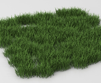 Modern The Grass-ID:867980968