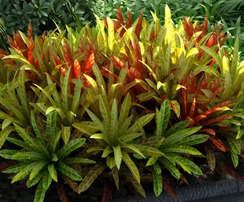 Modern The Grass-ID:389544012