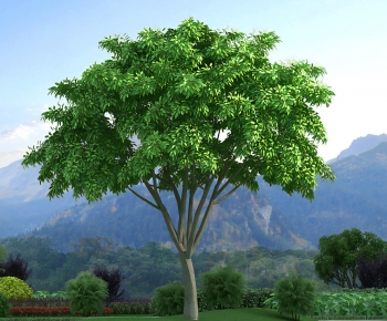 Modern Tree-ID:674374108