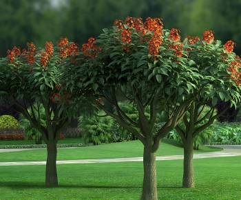Modern Tree-ID:225321056