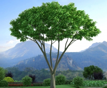 Modern Tree-ID:711462971
