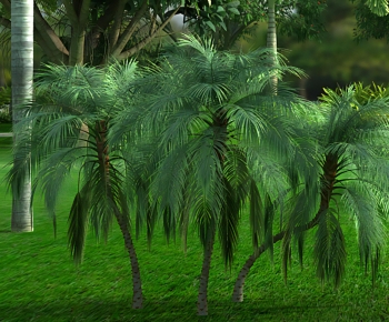 Modern Shrubbery-ID:907080894