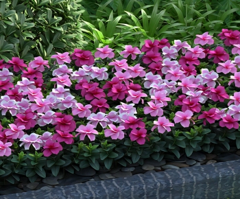 Modern Flowers And Grass-ID:238961945