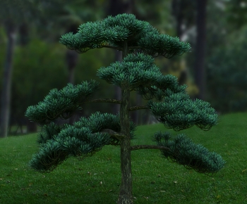 Modern Tree-ID:360784053