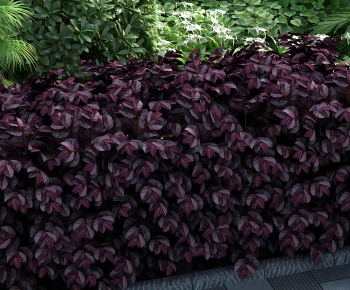 Modern Shrubbery-ID:688138011