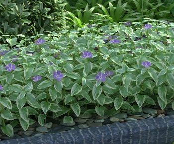 Modern Flowers And Grass-ID:856925967