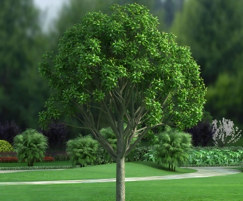 Modern Tree-ID:675251012