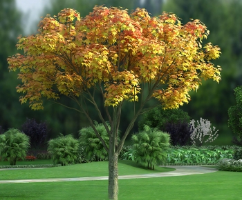 Modern Tree-ID:276206028