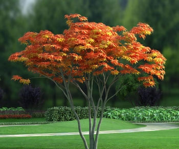 Modern Tree-ID:140676029