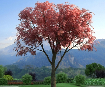 Modern Tree-ID:296649949