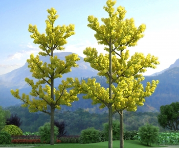Modern Tree-ID:450130947