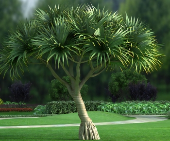 Modern Tree-ID:241028071