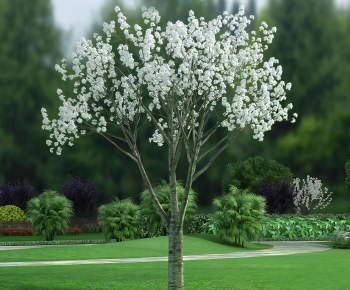 Modern Tree-ID:775342948