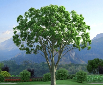 Modern Tree-ID:663669115