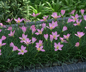 Modern Flowers And Grass-ID:893306973