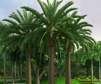 Modern Tree-ID:369605061