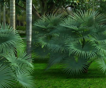 Modern Shrubbery-ID:457809059