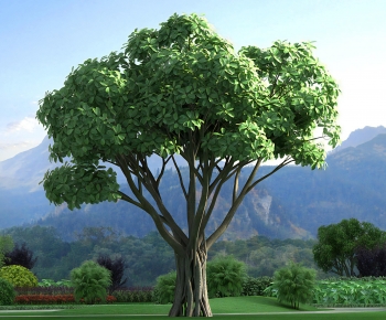 Modern Tree-ID:260313033