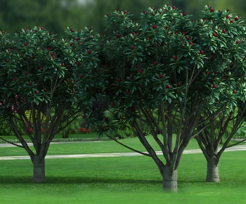 Modern Tree-ID:347567081