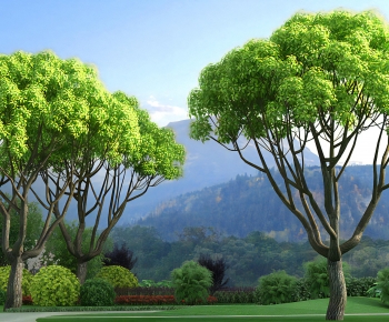 Modern Tree-ID:493351943