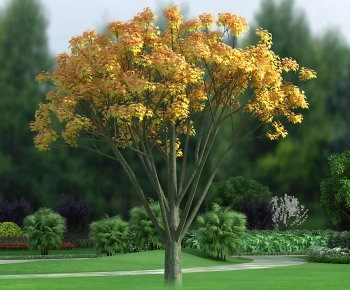 Modern Tree-ID:252044926