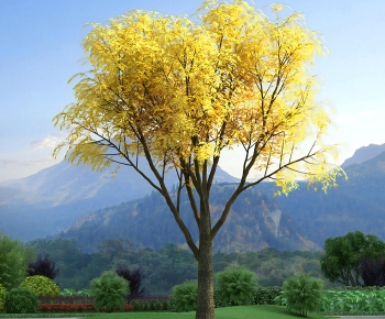 Modern Tree-ID:736371992