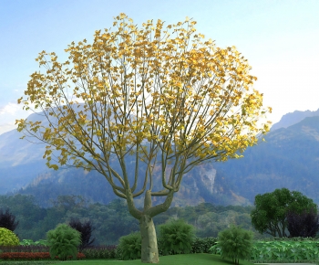 Modern Tree-ID:163240919