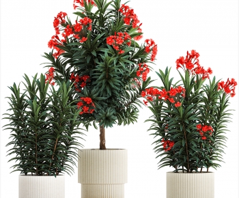 Modern Ground Green Plant Potted Plants-ID:900012973