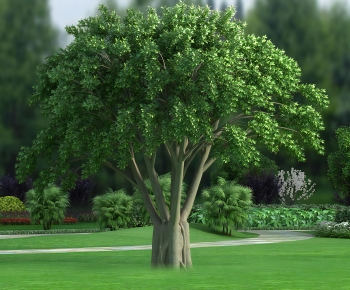 Modern Tree-ID:427339083