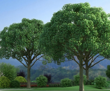 Modern Tree-ID:192513948