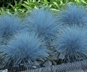 Modern The Grass-ID:747522127