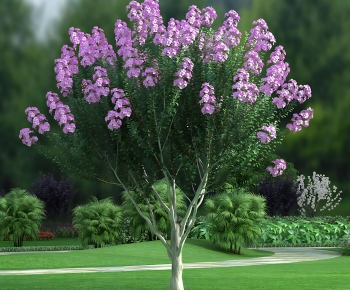 Modern Tree-ID:463182933