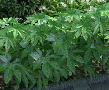 Modern Flowers And Grass-ID:284081942