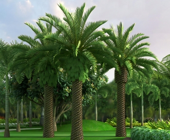 Modern Tree-ID:639313948