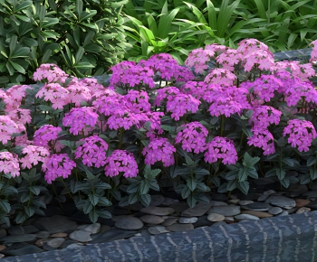 Modern Flowers And Grass-ID:583279136