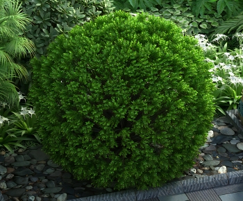 Modern Shrubbery-ID:862679004