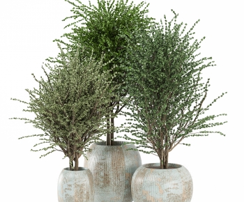 Modern Ground Green Plant Potted Plants-ID:436851027