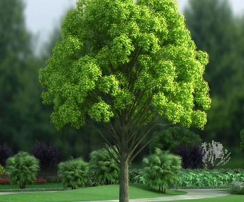 Modern Tree-ID:914216048