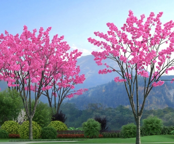 Modern Tree-ID:325586087