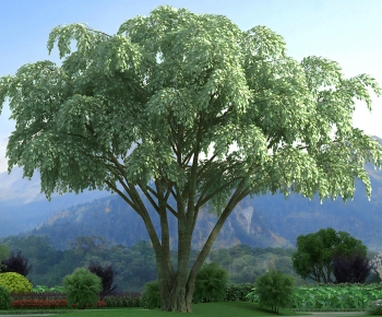 Modern Tree-ID:950315954